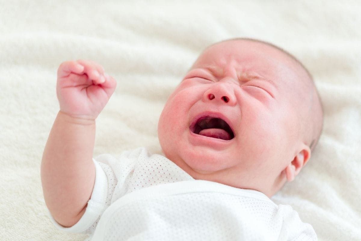 Bayi Menolak Menyusu di Malam Hari - Sewa Freezer ASI | Mum 'N Hun