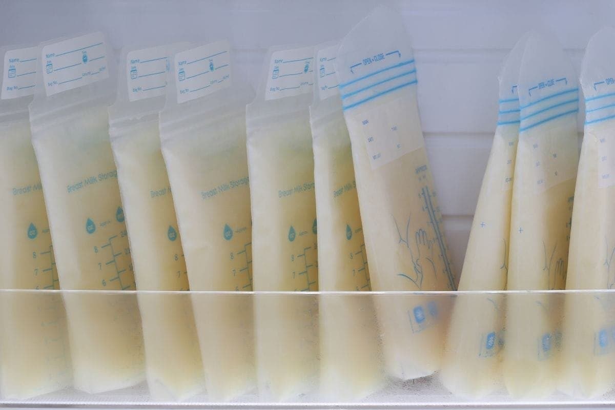 10 Cara Mengatur Freezer agar Efisien untuk Penyimpanan ASI - Sewa Freezer ASI | Mum 'N Hun