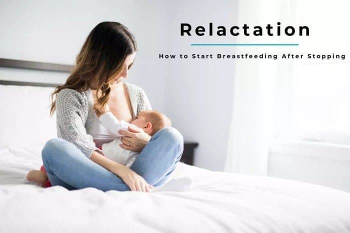 Teknik Relaktasi untuk Ibu yang Berhenti Menyusui - Sewa Freezer ASI | Mum 'N Hun