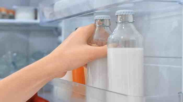 Mengapa Freezer ASI Perlu Dibersihkan Secara Rutin - Sewa Freezer ASI | Mum 'N Hun