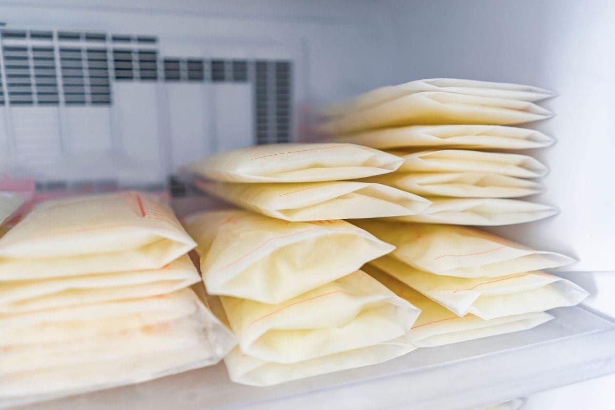 Berapa Lama ASI Bertahan di Kulkas: Panduan Lengkap - Sewa Freezer ASI | Mum 'N Hun