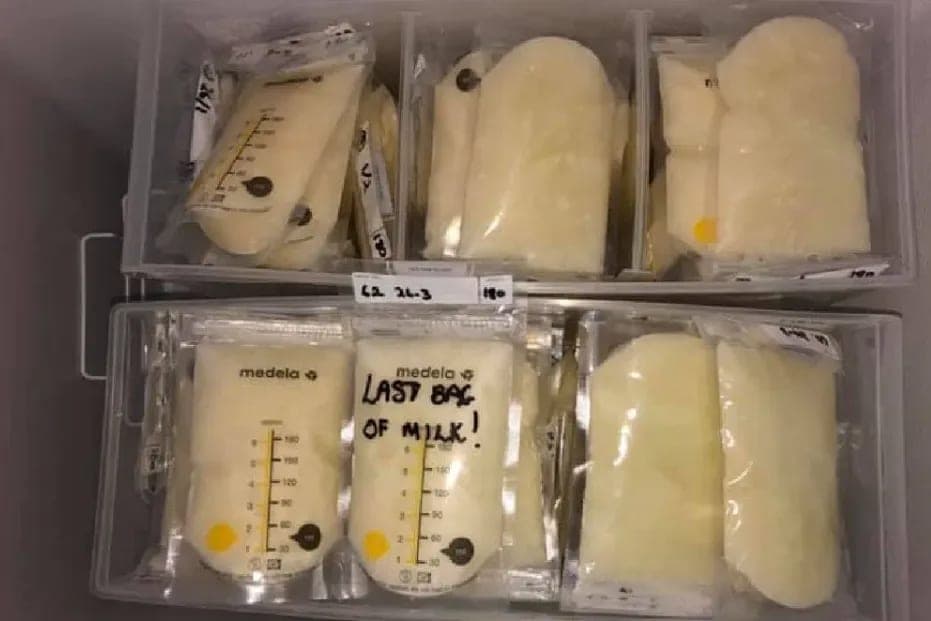 Sewa Freezer ASI BSD: Solusi Cerdas Mums Modern untuk Amankan 'Emas Cair' Si Kecil - Sewa Freezer ASI | Mum 'N Hun