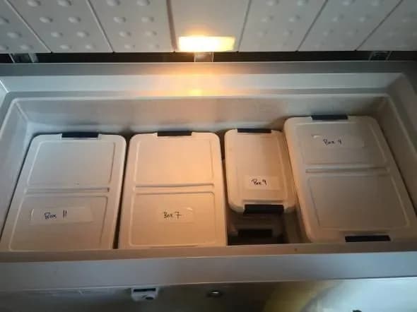 Freezer ASIP: Cara Pintar Menyimpan ASI Agar Tetap Segar Lebih Lama - Sewa Freezer ASI | Mum 'N Hun