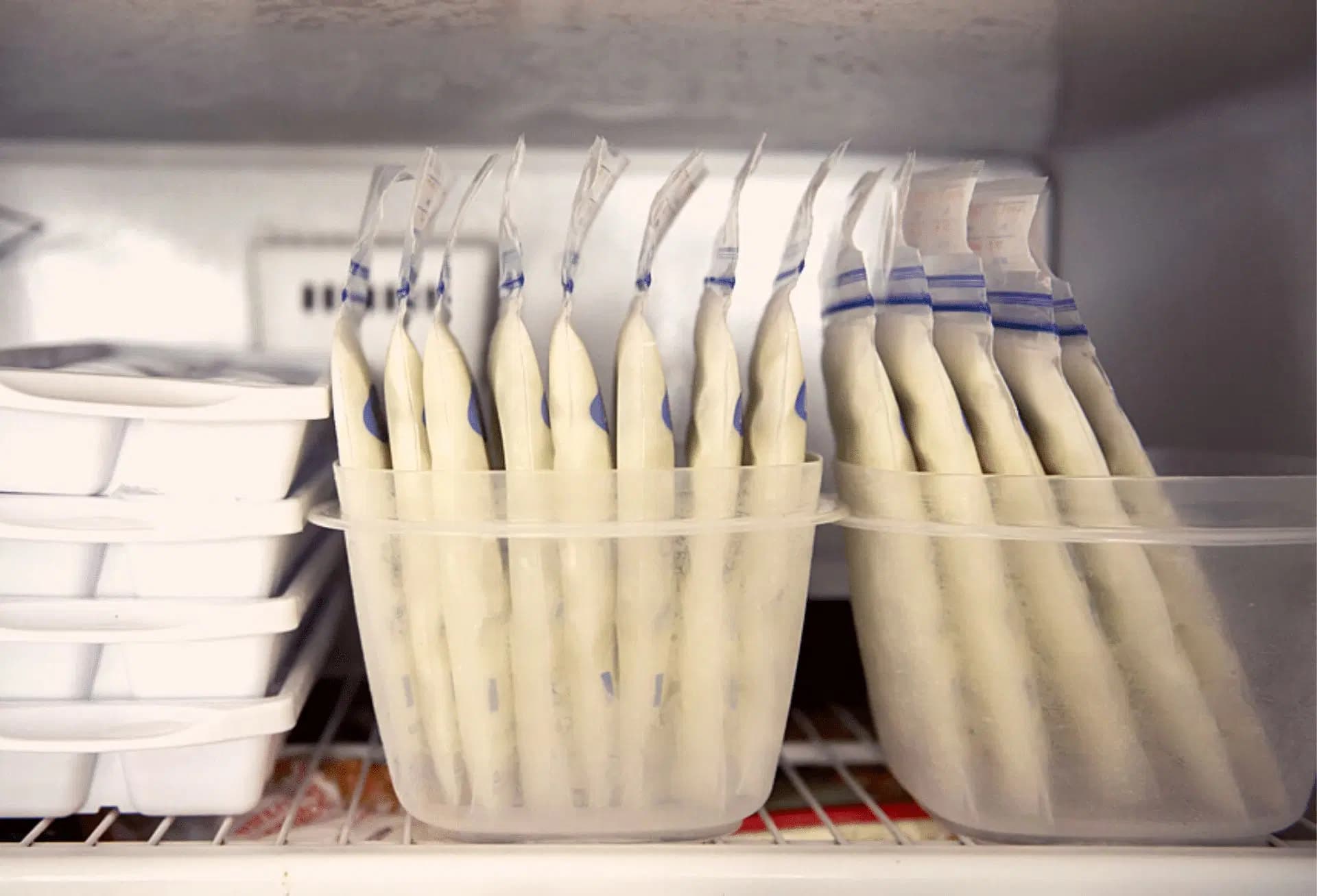 Harga Freezer ASI Pilihan Terbaik Untuk Menjaga Kualitas ASI