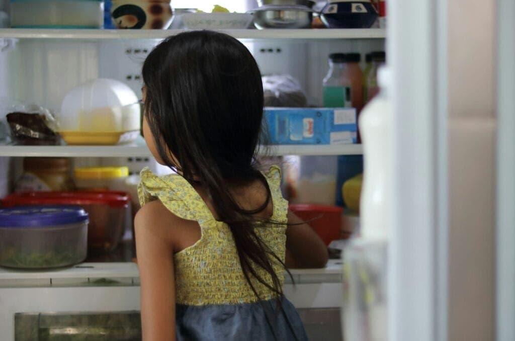 Berapa Lama ASI Tahan di Kulkas 1 Pintu? Panduan Lengkap - Sewa Freezer ASI | Mum 'N Hun