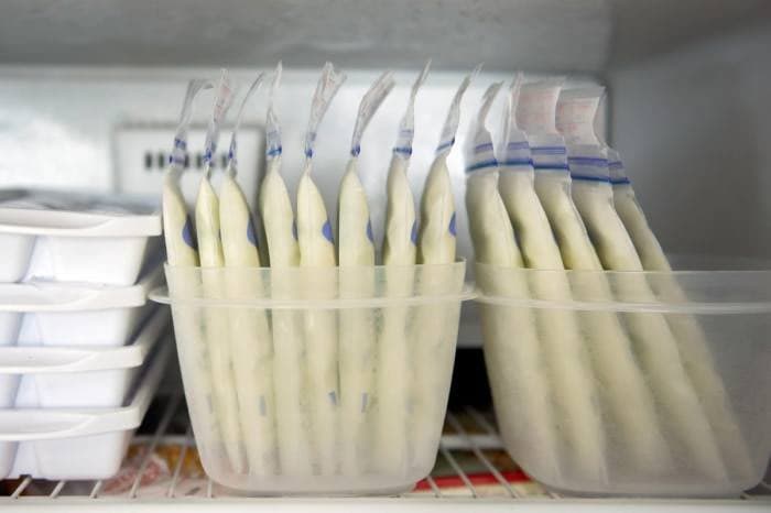 Perbedaan Freezer ASI dengan Freezer Biasa - Sewa Freezer ASI | Mum 'N Hun