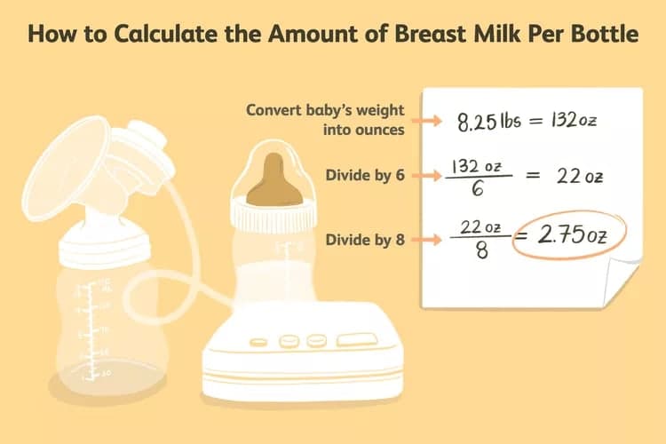 Berapa Banyak dan Seberapa Sering Bayi Baru Lahir Harus Minum ASI? - Sewa Freezer ASI | Mum 'N Hun