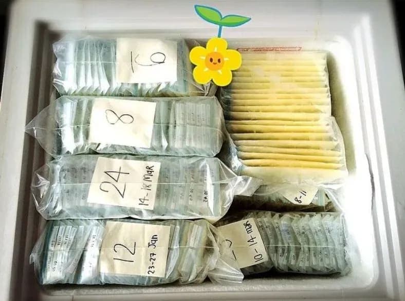 Sewa Freezer ASI Bintaro: Solusi Cerdas Jaga Kualitas ASIP untuk Mums Modern - Sewa Freezer ASI | Mum 'N Hun