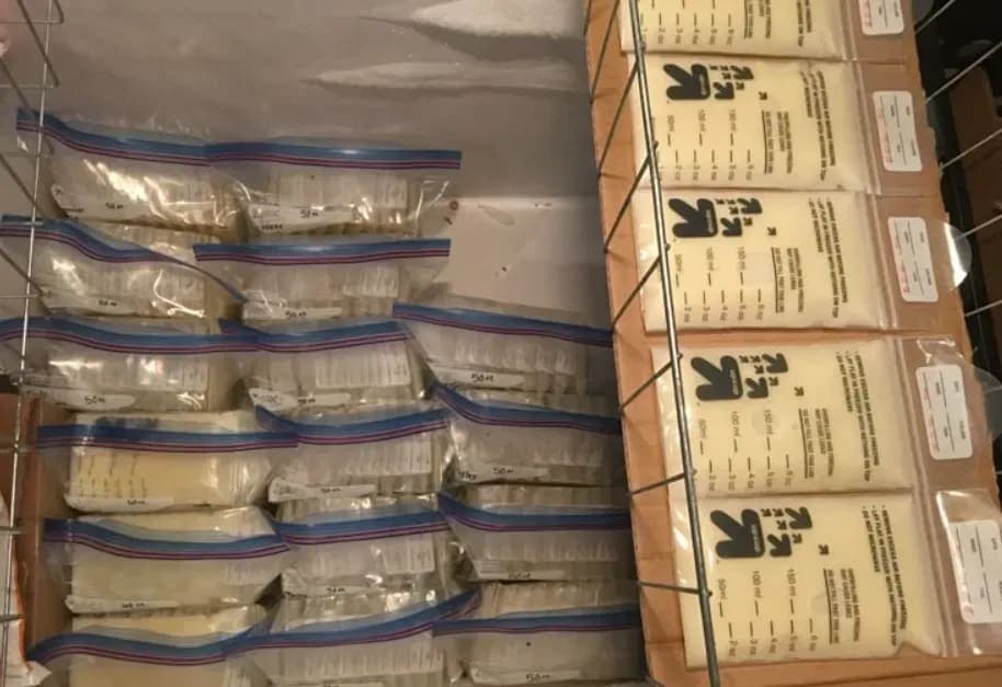 Sewa Freezer ASI Tangerang: Solusi Cerdas untuk Penyimpanan ASI Perah Berkualitas - Sewa Freezer ASI | Mum 'N Hun