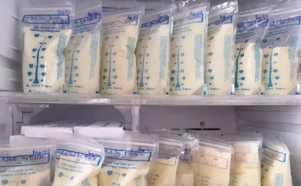 Sewa Freezer ASI Alam Sutera: Solusi Penyimpanan ASIP Terpercaya & Higienis - Sewa Freezer ASI | Mum 'N Hun