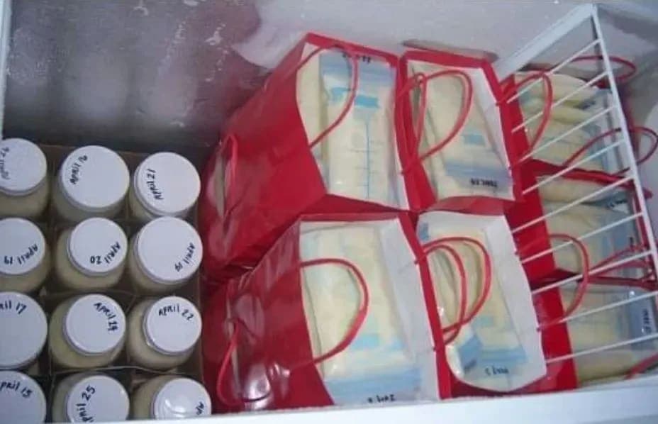 Sewa Freezer ASI Terdekat: Panduan Lengkap untuk Mums yang Ingin Stok ASIP Aman dan Terpercaya - Sewa Freezer ASI | Mum 'N Hun