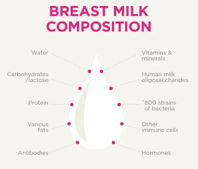 Rahasia “Kandungan Air Susu Ibu”: Ini Kandungannya & Apa Artinya untuk Si Kecil - Sewa Freezer ASI | Mum 'N Hun