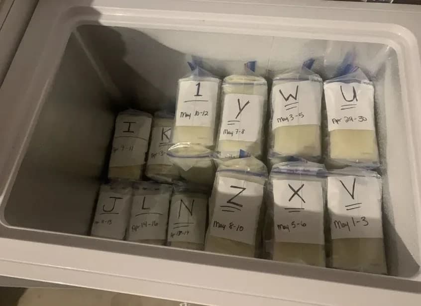 Sewa Freezer ASI Bekasi – Solusi Cerdas Ibu Menyusui untuk Penyimpanan ASI Aman - Sewa Freezer ASI | Mum 'N Hun