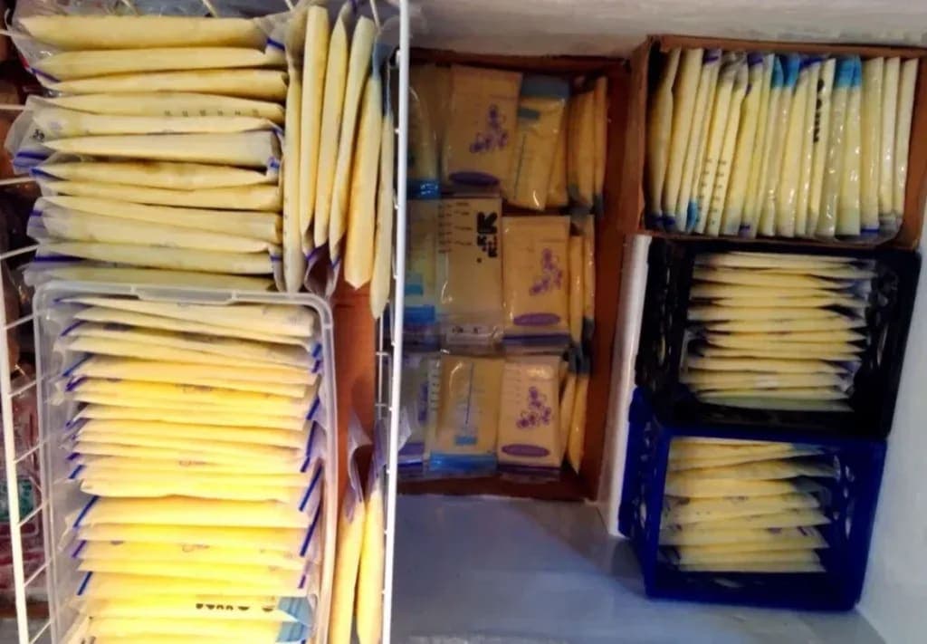 Freezer ASI Tanpa Bunga Es, Solusi Cerdas Ibu Menyusui Hemat Waktu! - Sewa Freezer ASI | Mum 'N Hun