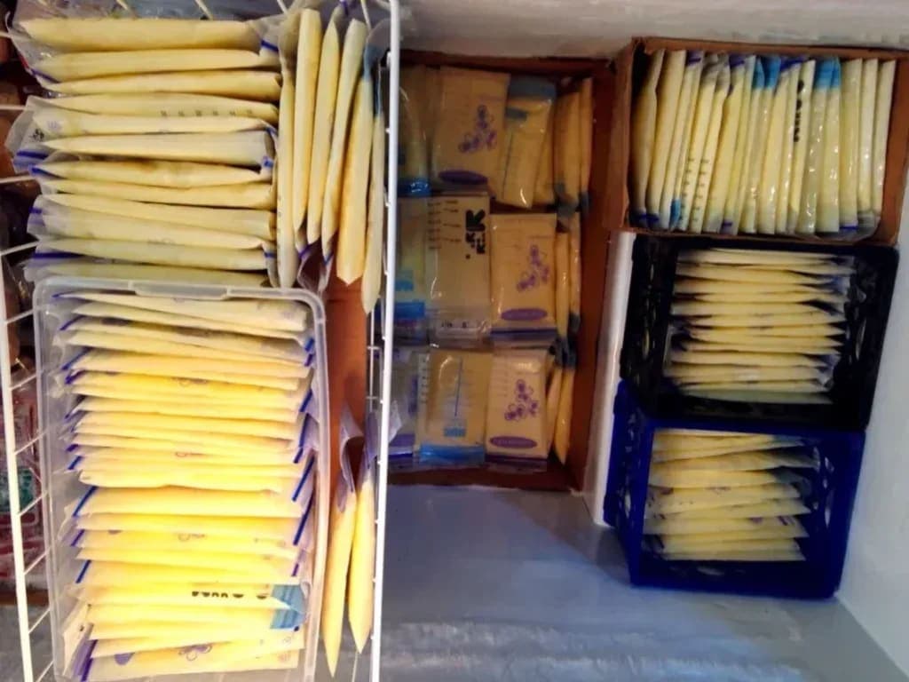 Rental Kulkas ASI: Solusi Simpan ASI Aman Tanpa Bikin Pusing - Sewa Freezer ASI | Mum 'N Hun