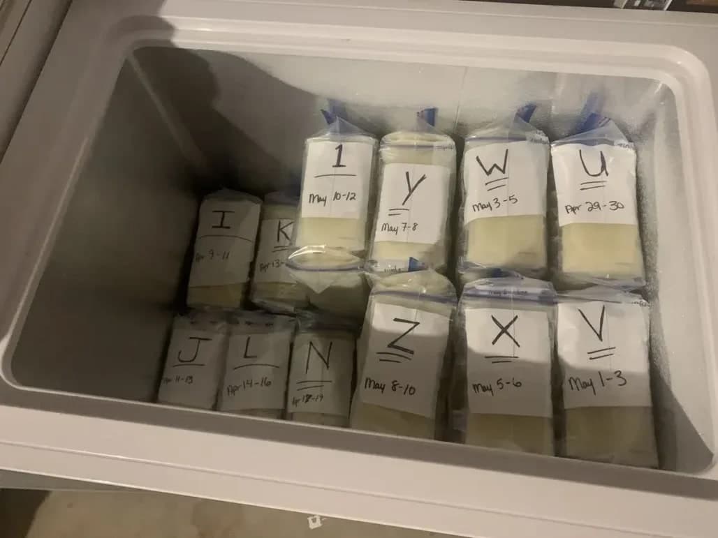 Kapasitas Freezer ASI 100 Liter: Cukup Nggak Sih Buat Stok ASI? - Sewa Freezer ASI | Mum 'N Hun