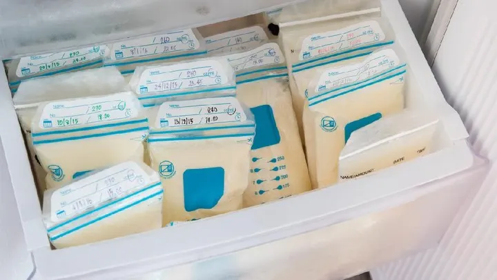 Bingung Sewa vs Beli Freezer? Cek Pertimbangan Ini