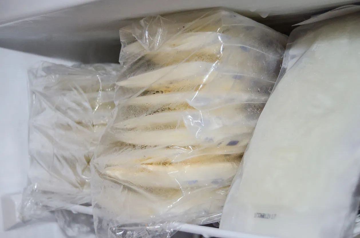 Freezer ASI Terbaik Untuk Ibu Menyusui