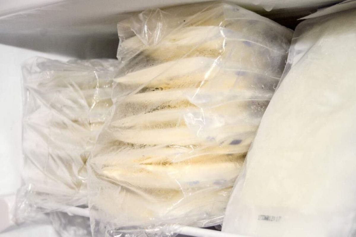 Tips Mencegah Freezer ASI agar Tidak Bau