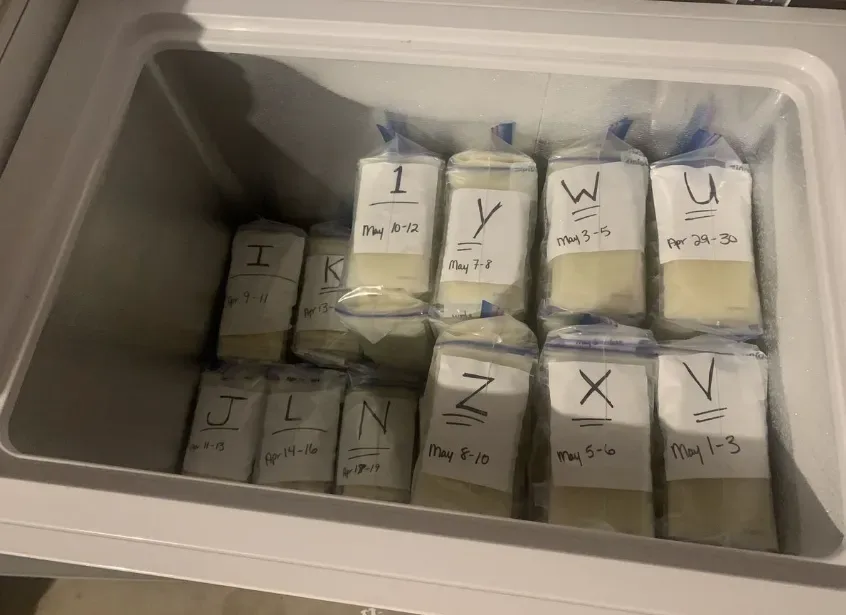 Sewa Freezer ASI Bekasi Rental Kulkas ASI