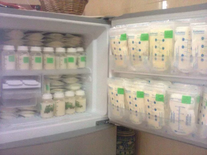 Freezer ASI Biasa Freezer ASI No Frost